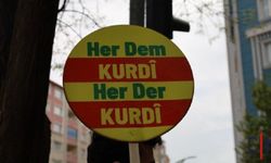 'Kürtçe için adım atılmalı!'