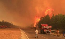 Antalya'da orman yangını: 254 ev tahliye edildi