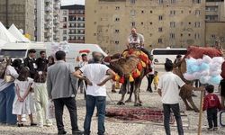 Yüksekova’da çocuklar için renkli etkinlik: Deve ve midilli turu