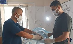 Hakkari'de sokak hayvanları için seferberlik