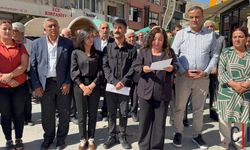 Hakkari’de Demokratik Kurumlar Platformu’ndan Suriye Açıklaması