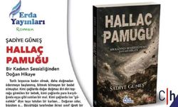 Hakkârili yazar Şadiye Güneş’in ikinci romanı “Hallaç Pamuğu” raflarda