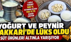 Hakkari’de süt ürünleri cep yakıyor