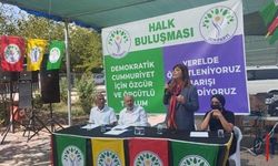 Meral Danış Beştaş: Türkiye barışını arıyor