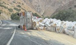 Hakkâri-Van karayolunda saman yüklü TIR devrildi