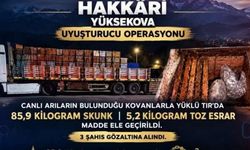 Hakkari’de arı kovanlarının içinden 91,1 kilo skunk çıktı