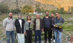 Hakkâri’de Tarımda Bir İlk: 1350 Metre Rakımda Yer Fıstığı Yetiştirildi