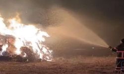 Yüksekova’da Yangın: 5 bin bağ ot kül oldu