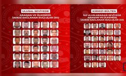 Yurt dışına kaçan 63 aranan şahıs Türkiye’ye getirildi