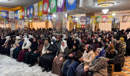 Hakkari DEM Parti ön seçim için sandık kurdu