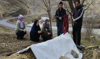 Hakkari’de estetik sonrası ölen Halime Ertuş mezarı başında anıldı