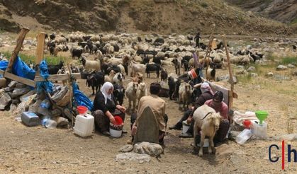 Zorlu Yayla Yaşamı: Ekonomik Kriz ve Göç