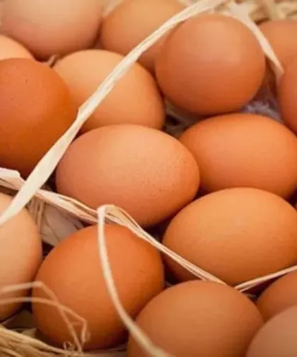 Kahverengi Yumurtaların Tüketimi Tehlikeye Girdi: Toplatılma Kararı Alındı