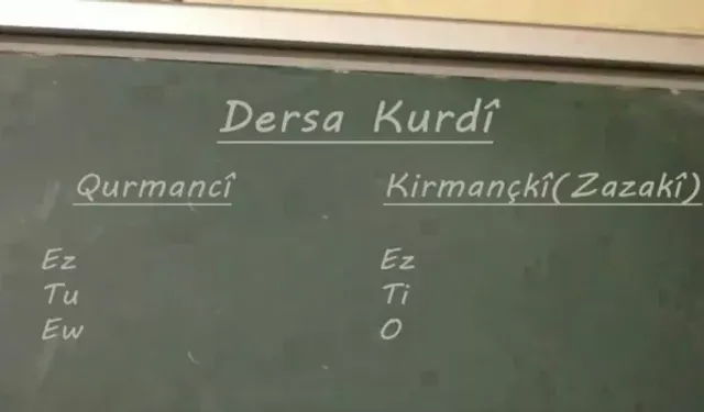 Bu yıl 50 Kürtçe öğretmeni atanacak