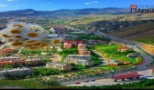 Hakkari’nin Yolu Ölüm Yolu