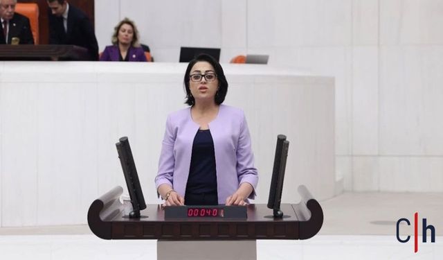 Hakkari Milletvekili Bartın, seçimi boykot edecek olan mezrayı meclis gündemine taşıdı