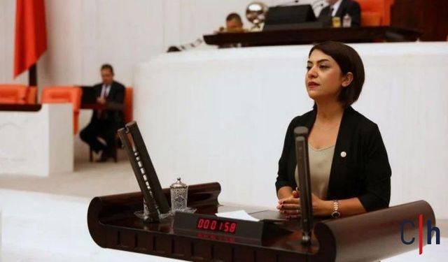 Beş yıldır toplanmayan Çalışma Meclisi 1 Mayıs'ta toplanıyor: CHP'den tepki