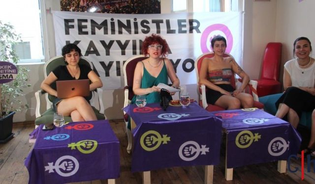 Feministlerden Hakkari, Yüksekova, Van raporu