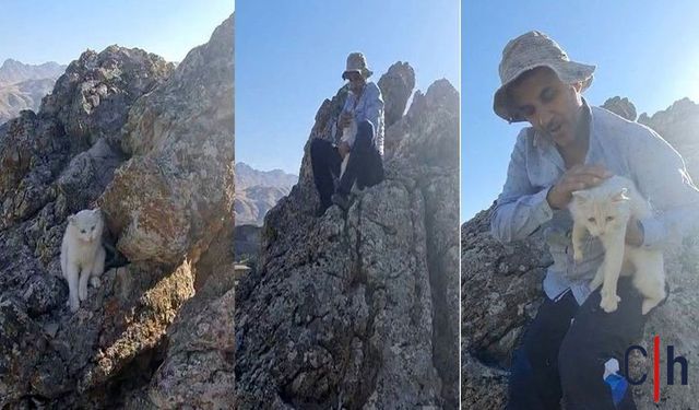 Hakkari'de 250 Metre Yükseklikteki Kayalıklarda Mahsur Kalan Kedi kurtarıldı