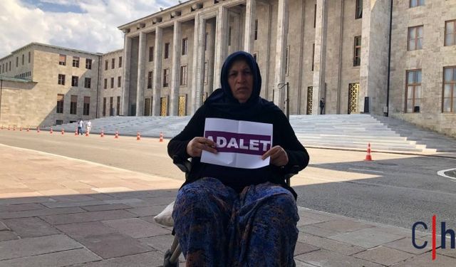 Şenyaşar Ailesi Davasında Mahkeme, Tutuklu Sanıkları Tahliye Etti