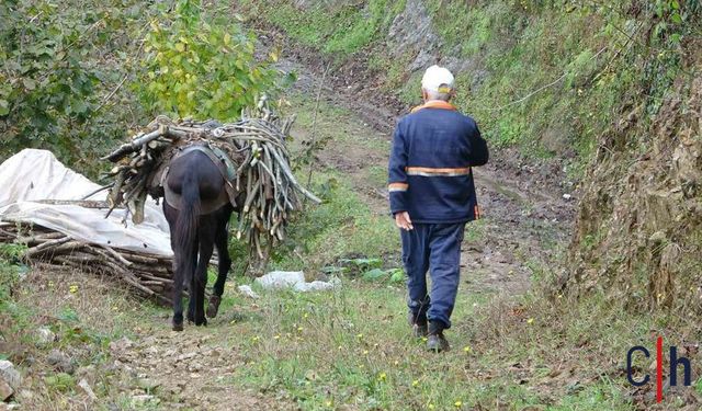 50 yıllıdır Katırcılık Yapılan Bu köyde sona eriyor