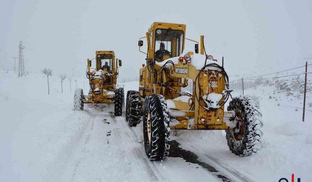 Van’da Kar Yağışı Nedeniyle 158 Mahalle Ulaşıma Kapanmış Durumda