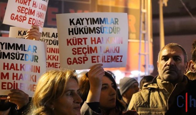 Demokrasi Platformu: Kayyım rejimini defetmemiz gerekiyor