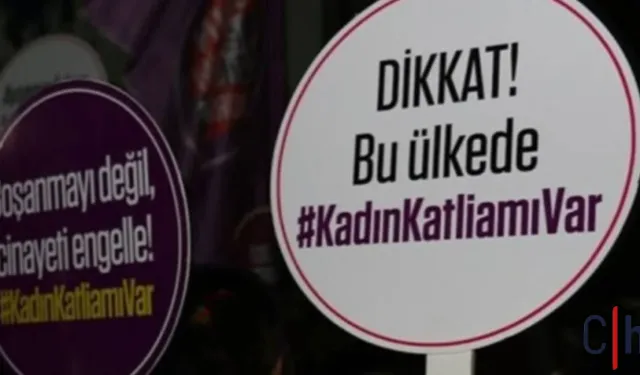 son bir ayda en az 33 kadın öldürüldü