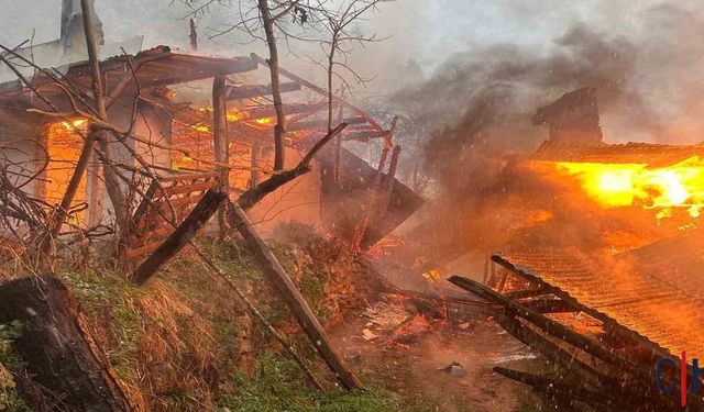 Köy 'de İftar Vakti Yangın:  İki Ev Kül Oldu, Can Kaybı Yok