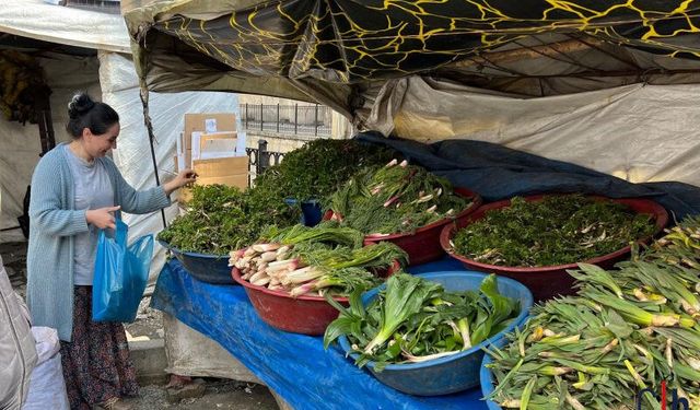 Hakkari'de  şifalı ot sezonu başlıyor