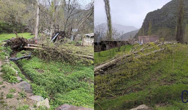 Çukurca’da fırtına ağaçları kökünden söktü