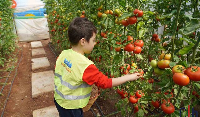 Minik Çiftçiler İş Başında: Çocuk Serasıyla Doğaya Dokundular