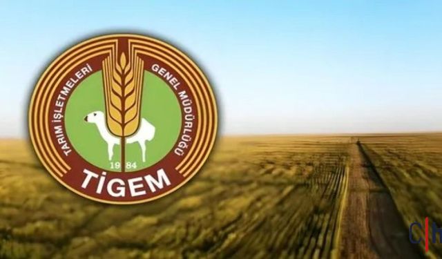 Tigem 306 İşçi İstihdam Edecek