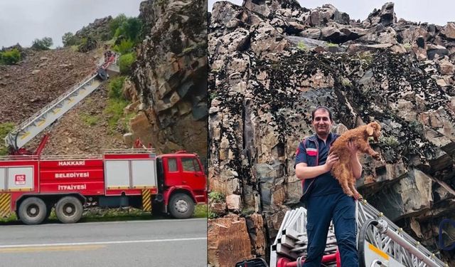 Hakkari’de Keçi Yavrusu Kayalıklardan İtfaiye Merdiveniyle Kurtarıldı