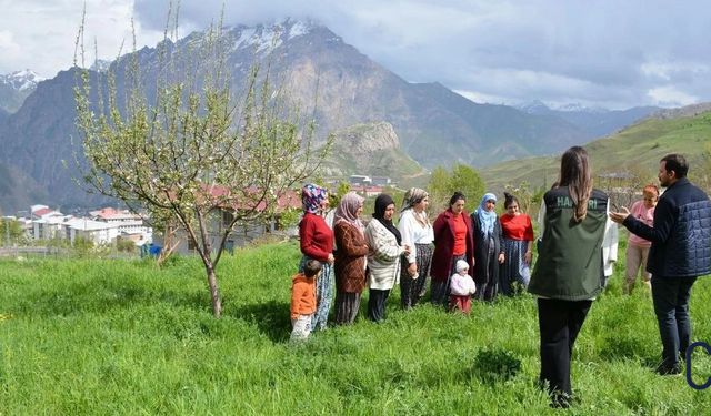 Hakkâri’de Kadın Çiftçilere Safran Eğitimi: Kırsalda Güçlü Kadın Eli