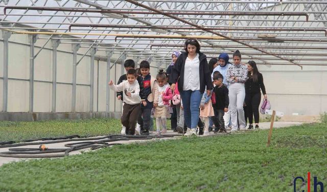 Anaokulu öğrencileri seralarda hem öğrendi hem eğlendi