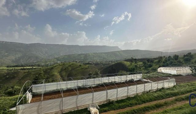 Hakkari’de Fırtına Tarım Alanlarında Büyük Hasara Neden Oldu