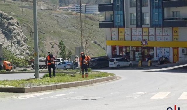Hakkari’de Parklar ve Yol Kenarları Yeniden Canlanıyor
