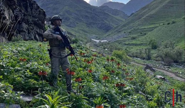 Hakkari'de Ters Lalelere Zarar Verenlere Yüksek Para Cezası