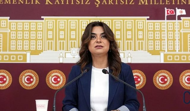 DEM Partili Koçyiğit: Çözüm süreci için Meclis’te komisyon kuruluyor