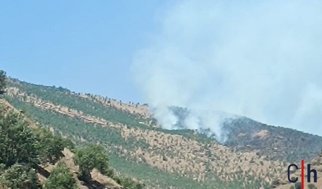 Hakkari'nin Köprülü Köyünde Orman Yangını: Köylüler Yardım Bekliyor