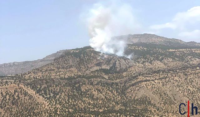 Hakkari'de Orman Yangını 2 Saatte Kontrol Altına Alındı: 5 Hektar Kül Oldu