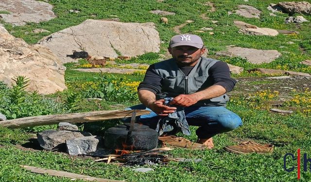Hakkari'de Hayvan Otlatırken Kalp Krizi Geçiren Çoban Kurtarılamadı