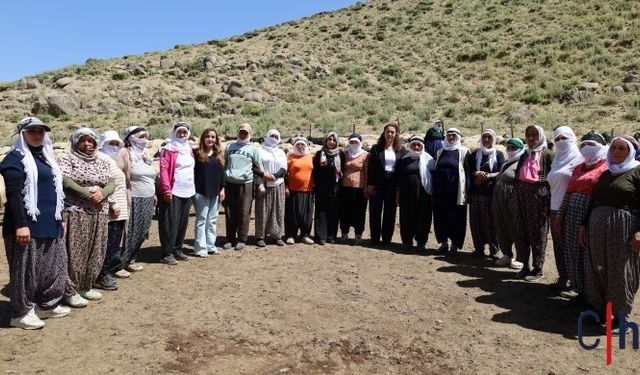 Yüksekova Yaylası’nda ‘Demokratik Toplum’ buluşması
