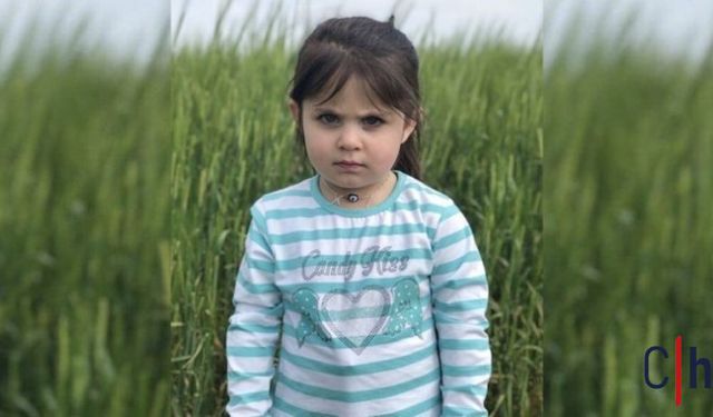 Leyla Aydemir Davasında Yargıtay'dan Flaş Karar: Beraat Bozuldu!