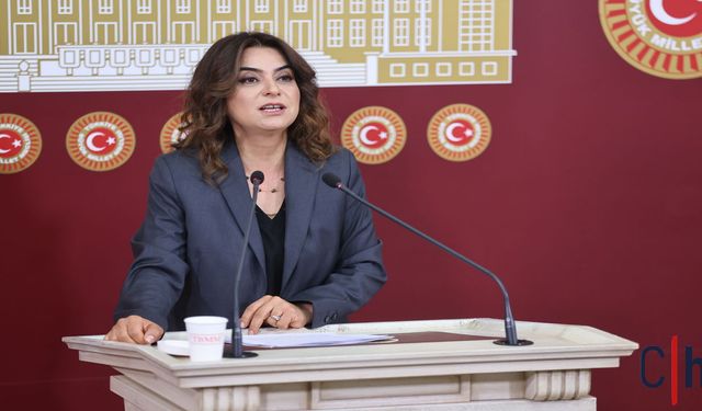 DEM Parti Hakkari'deki Sağlık Eksikliğini Meclis’e Taşıdı