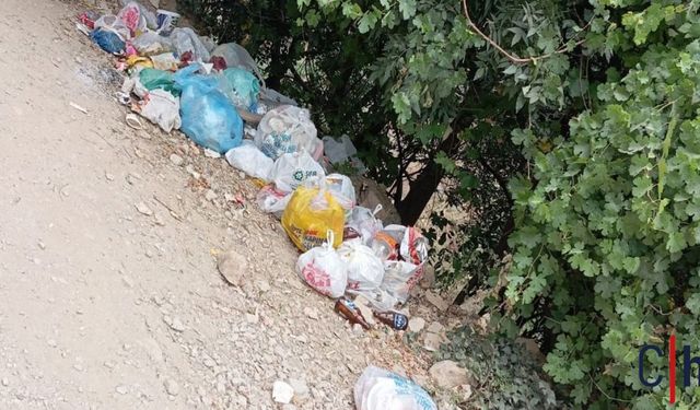 Hakkari'deki Kaval Şelalesi'nde Çevre Kirliliği Tepki Topluyor