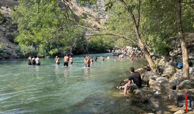 Hakkari'de Sıcaktan Bunalanların Adresi: Avaşin Deresi