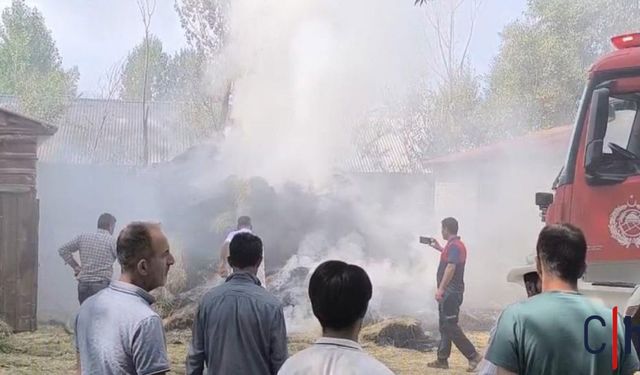 Hakkâri'de Yangın: Bin Bağ Ot Kül Oldu