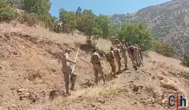 Hakkari Şemdinli’de Orman Yangınlarıyla Zorlu Mücadele